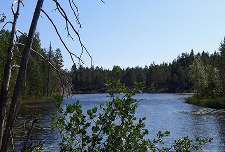 Paradissjön i Västerbotten 1