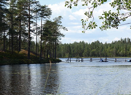 Paradissjön i Västerbotten 2