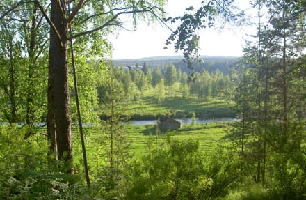 Alterdalen i skommarskrud