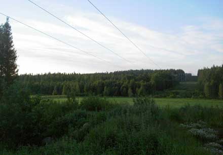 Rosådal