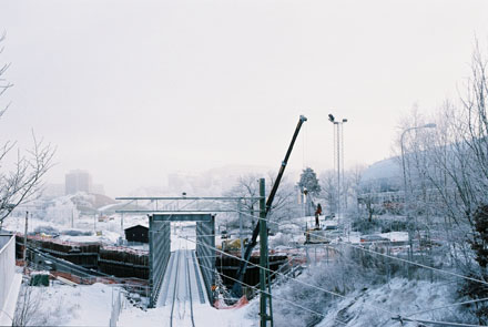 Storängsbotten i frost