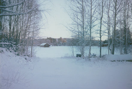 Julpolaroider 2014 mot lada
