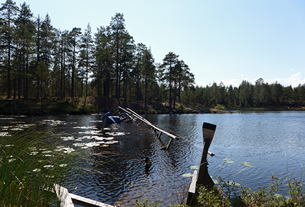 Paradissjön i Västerbotten 3