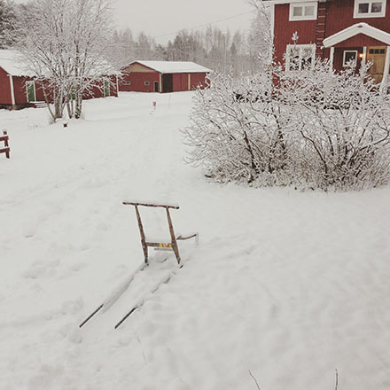 Snö i november 2015