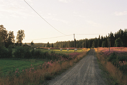 Sommarkväll I Juli Augusti