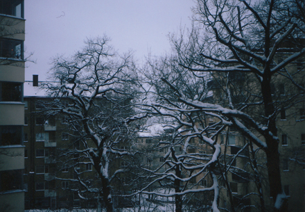 En snöig söndag i december